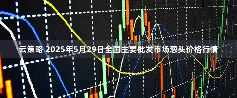 云策略 2025年5月29日全国主要批发市场葱头价格行情