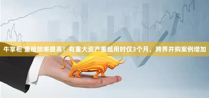 牛掌柜 重组效率提高！有重大资产重组用时仅3个月，跨界并购案例增加
